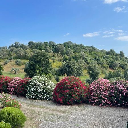 Tenuta Montemassi Podere Montauzzo Eksteriør billede