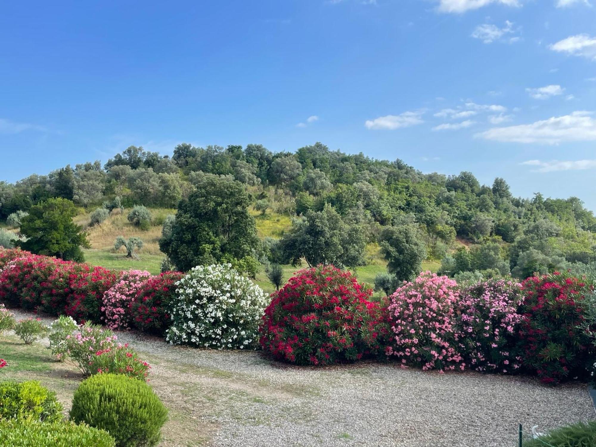 Tenuta Montemassi Podere Montauzzo Eksteriør billede